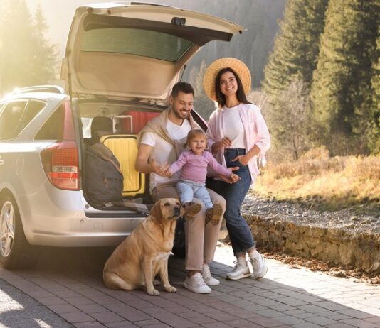 4 Must-Have Items for Traveling with a Toddler Traveling with a Toddler